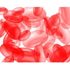 抗丙型肝炎病毒核心抗原单克隆抗体杂交瘤细胞株；HCV-C39	